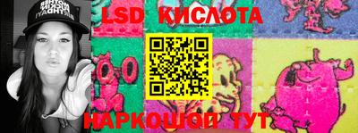 a pvp Обь